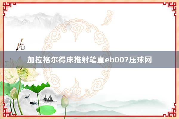 加拉格尔得球推射笔直eb007压球网