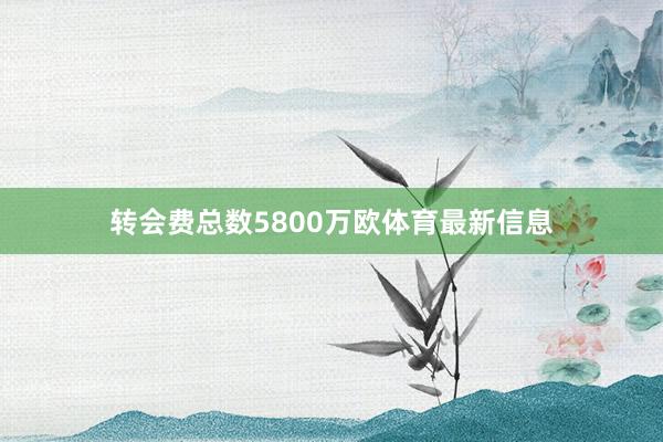 转会费总数5800万欧体育最新信息