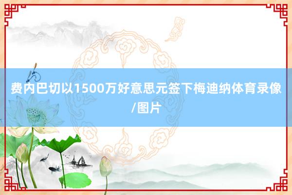 费内巴切以1500万好意思元签下梅迪纳体育录像/图片